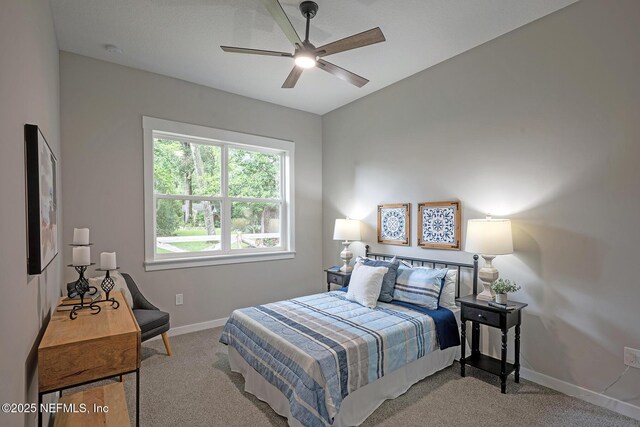3910 Main St, Middleburg, FL 32068 - photo 17