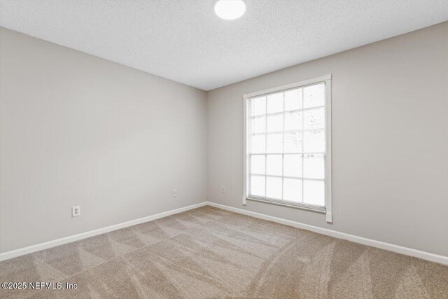 8323 Grampell Dr, Jacksonville, FL 32221 - photo 32
