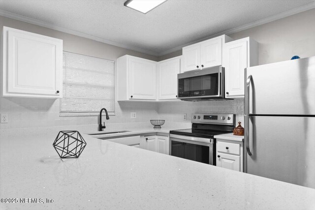 8323 Grampell Dr, Jacksonville, FL 32221 - photo 17