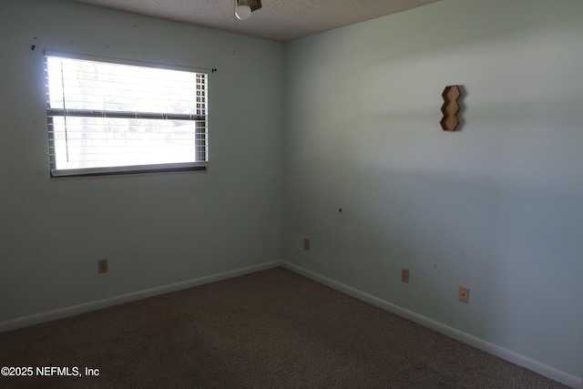 6311 Custer Rd, Orange Park, FL 32065 - photo 11