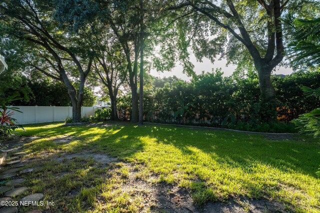 701 Violet Pl, Saint Johns, FL 32259 - photo 41