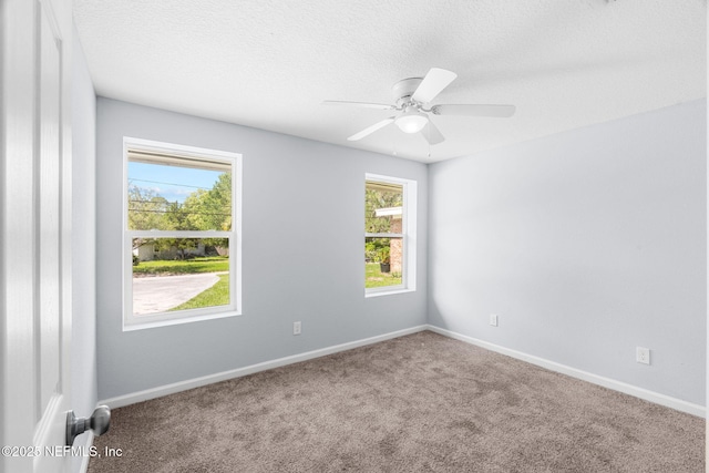 5406 Matanzas Way, Jacksonville, FL 32211 - photo 35