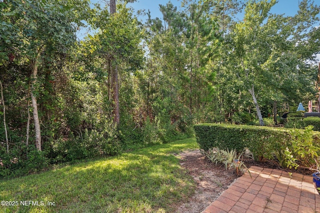 3100 Lucena Ln, Jacksonville, FL 32246 - photo 46