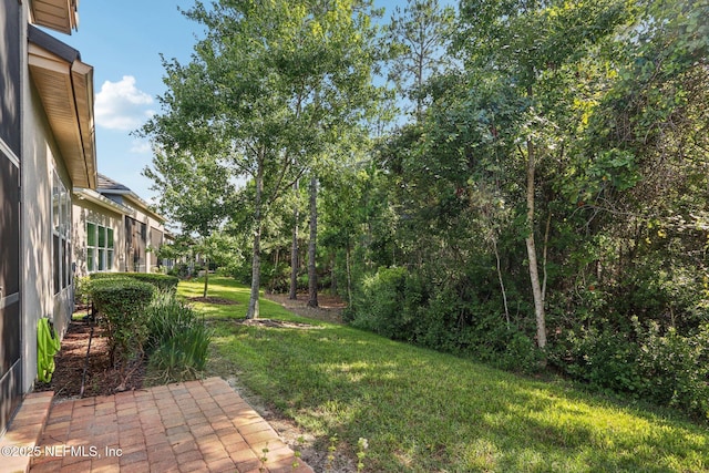 3100 Lucena Ln, Jacksonville, FL 32246 - photo 51