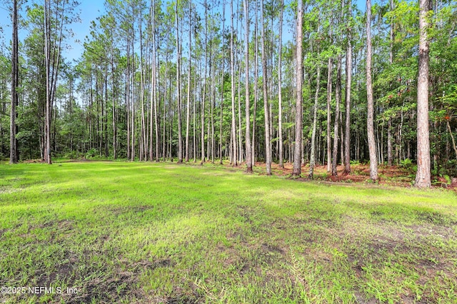 10758 Grayson St, Jacksonville, FL 32220 - photo 40