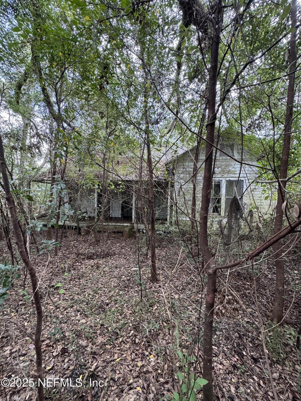13647 NE 141st Dr, Waldo, FL 32694 - photo 3