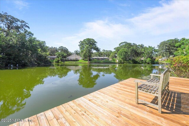 394 Pablo Point Dr, Jacksonville, FL 32225 - photo 41