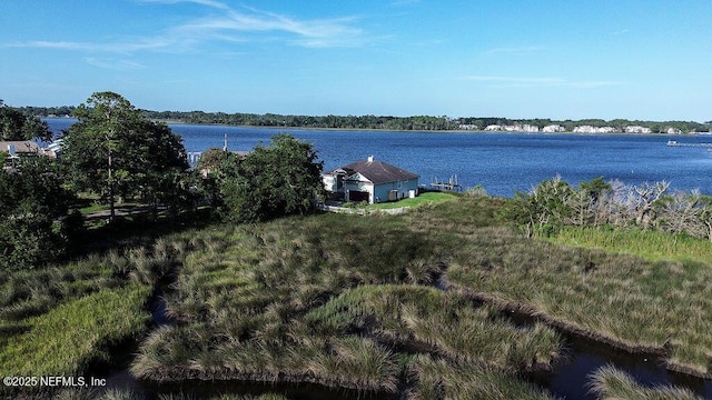 1402 Harrison Ct, Jacksonville, FL 32208 - photo 22