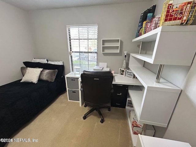 217 Beech Brook St, Saint Johns, FL 32259 - photo 39