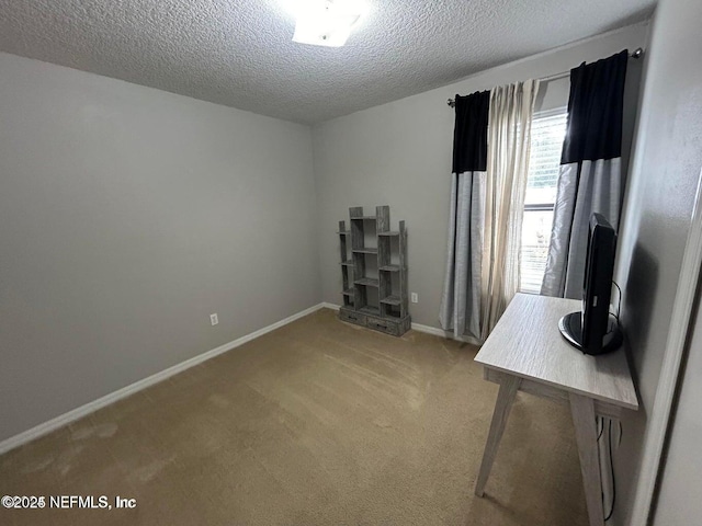 217 Beech Brook St, Saint Johns, FL 32259 - photo 40