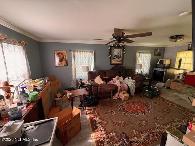 1423 Jones Rd, Jacksonville, FL 32220 - photo 7