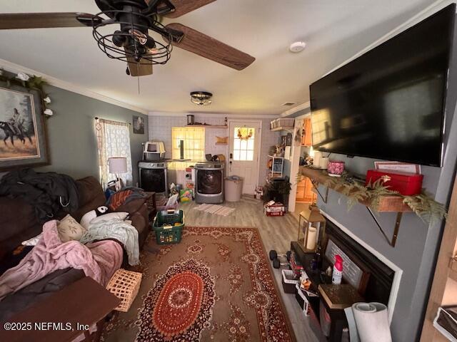 1423 Jones Rd, Jacksonville, FL 32220 - photo 8