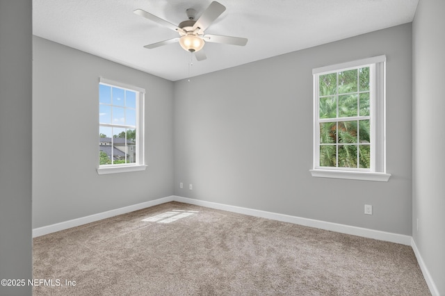 1685 Wild Dunes Cir, Orange Park, FL 32065 - photo 35