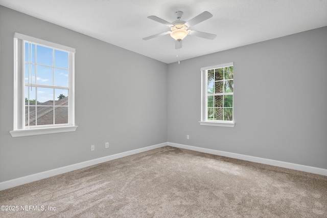 1685 Wild Dunes Cir, Orange Park, FL 32065 - photo 36