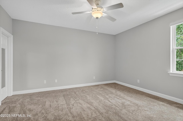 1685 Wild Dunes Cir, Orange Park, FL 32065 - photo 39