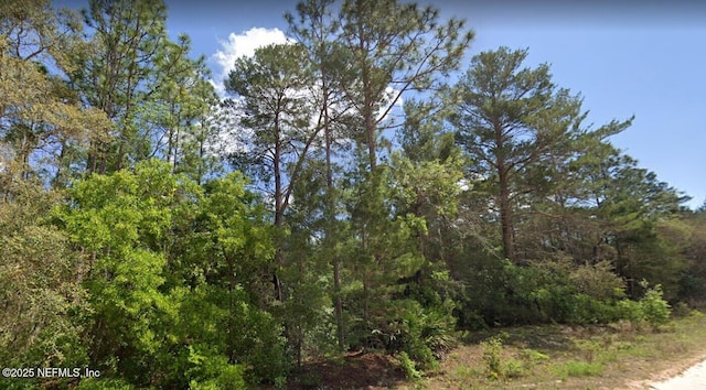 7577 Casa Grande Blvd, Keystone Heights, FL 32656 - photo 3
