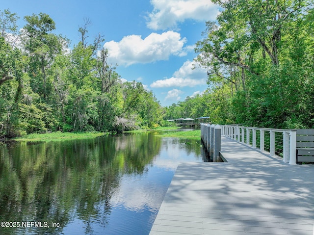 1924 Rebecca Pt, Green Cove Springs, FL 32043 - photo 37