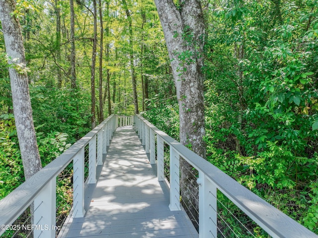 1924 Rebecca Pt, Green Cove Springs, FL 32043 - photo 38