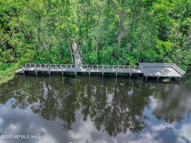 1924 Rebecca Pt, Green Cove Springs, FL 32043 - photo 46