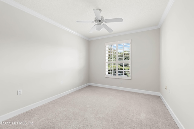 13880 Silkvine Ln, Jacksonville, FL 32224 - photo 19