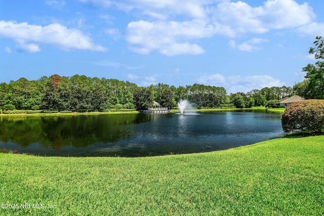 13880 Silkvine Ln, Jacksonville, FL 32224 - photo 23