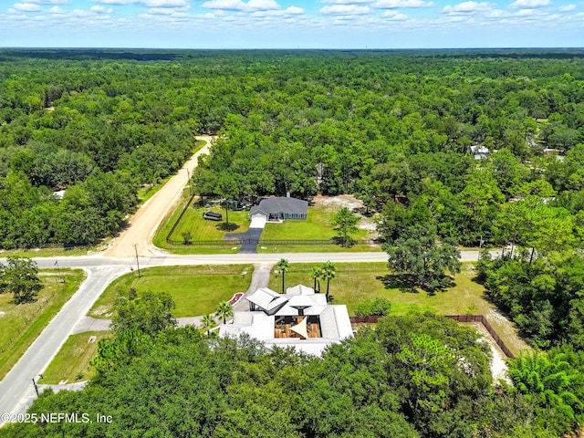 4949 Kalmia St, Middleburg, FL 32068 - photo 68