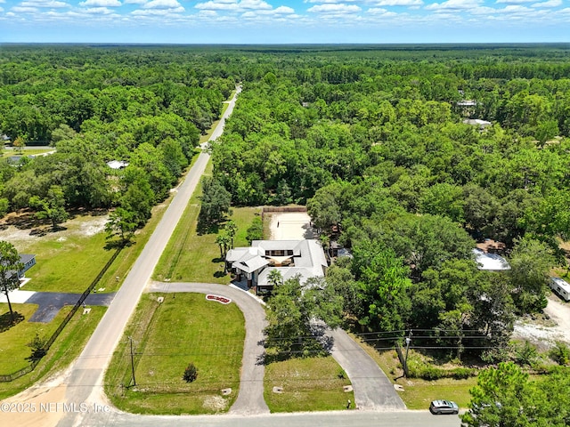 4949 Kalmia St, Middleburg, FL 32068 - photo 67