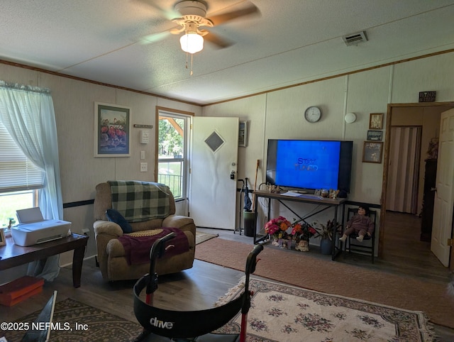 402 Shirley St, Interlachen, FL 32148 - photo 5