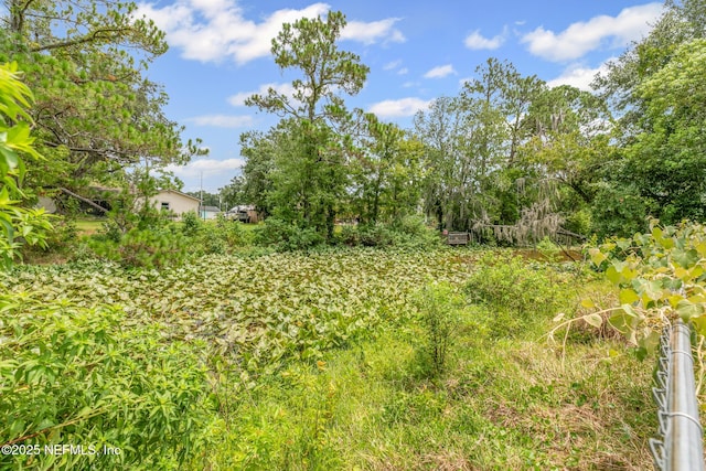 11539 Lake Ride Dr, Jacksonville, FL 32223 - photo 41