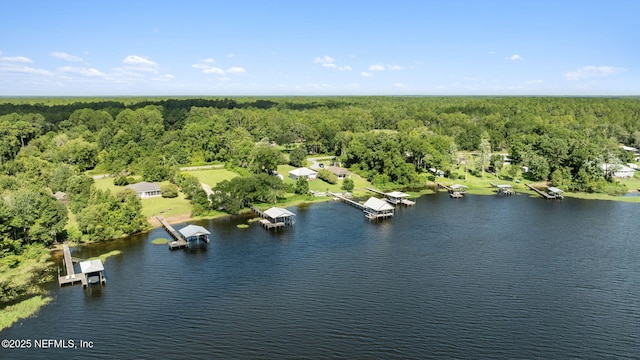 212 Lake Dr, Florahome, FL 32140 - photo 38