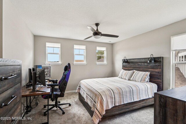 772 Blind Oak Cir, Saint Augustine, FL 32095 - photo 41