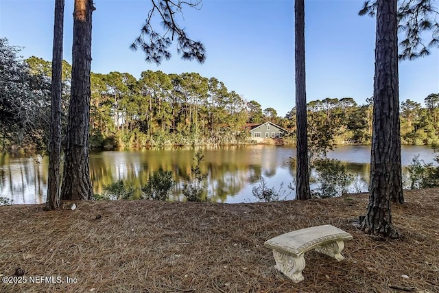 1875 Howard Ln, Fernandina Beach, FL 32034 - photo 43