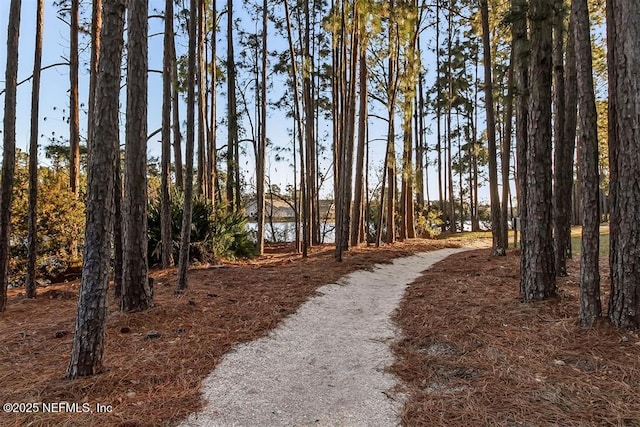 1875 Howard Ln, Fernandina Beach, FL 32034 - photo 44