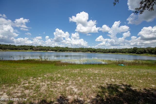 6301 Little Lake Geneva Rd, Keystone Heights, FL 32656 - photo 24
