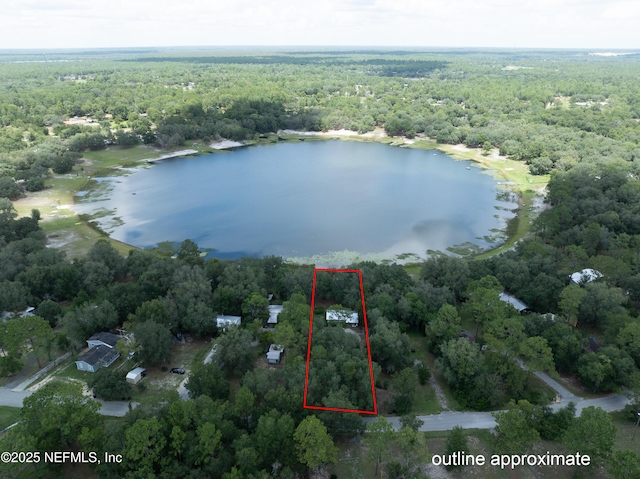 6301 Little Lake Geneva Rd, Keystone Heights, FL 32656 - photo 25