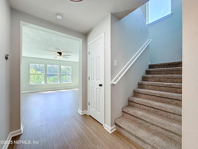 11855 Alexandra Dr, Jacksonville, FL 32218 - photo 21