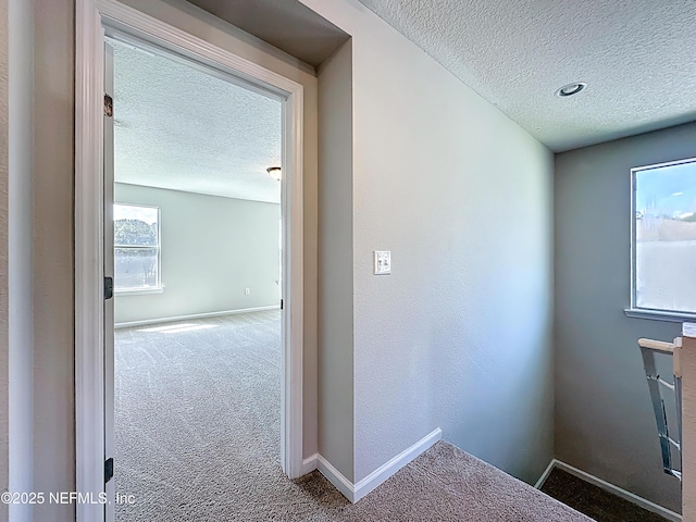 11855 Alexandra Dr, Jacksonville, FL 32218 - photo 22