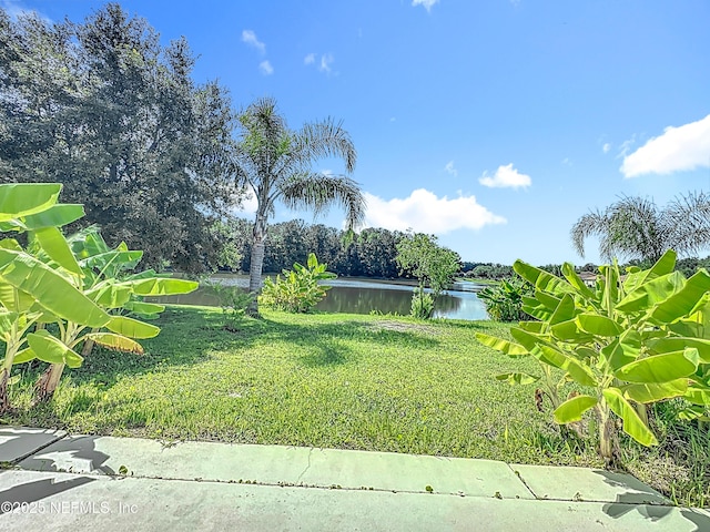 11855 Alexandra Dr, Jacksonville, FL 32218 - photo 53