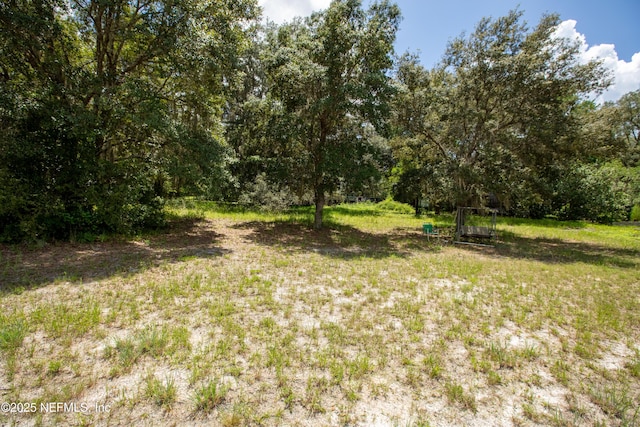 6305 Little Lake Geneva Rd, Keystone Heights, FL 32656 - photo 4