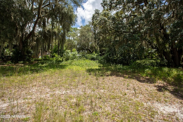 6305 Little Lake Geneva Rd, Keystone Heights, FL 32656 - photo 5