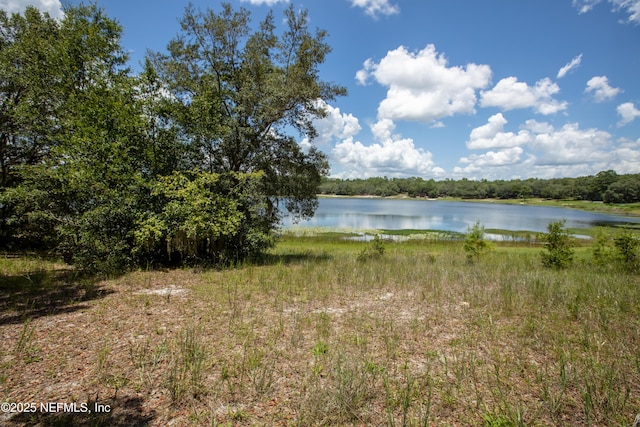 6305 Little Lake Geneva Rd, Keystone Heights, FL 32656 - photo 2