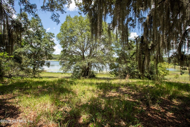 6305 Little Lake Geneva Rd, Keystone Heights, FL 32656 - photo 3