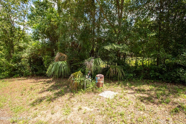 6305 Little Lake Geneva Rd, Keystone Heights, FL 32656 - photo 7