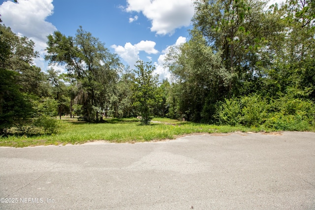 6305 Little Lake Geneva Rd, Keystone Heights, FL 32656 - photo 8