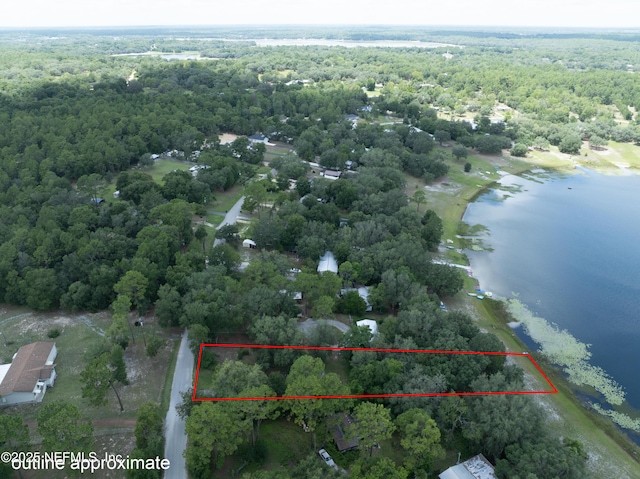6305 Little Lake Geneva Rd, Keystone Heights, FL 32656 - photo 11