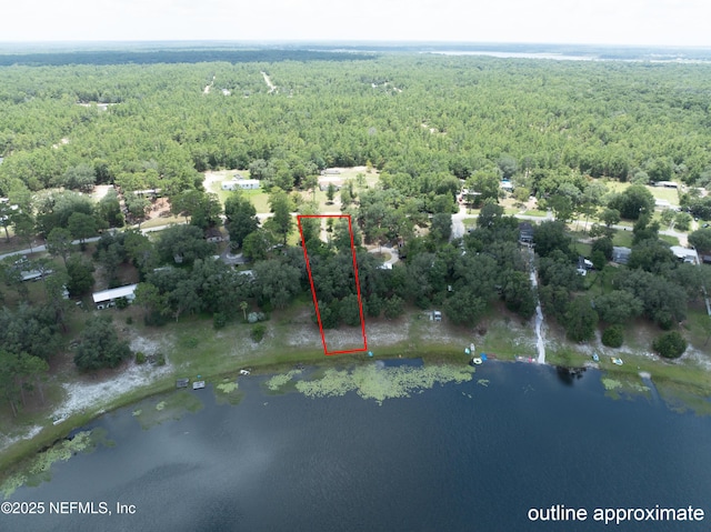 6305 Little Lake Geneva Rd, Keystone Heights, FL 32656 - photo 13