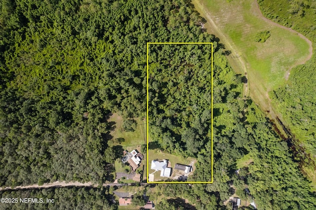 224 Crocus Ln, Hawthorne, FL 32640 - photo 53