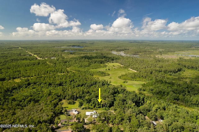 224 Crocus Ln, Hawthorne, FL 32640 - photo 55