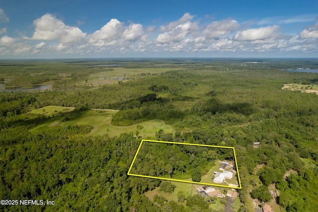 224 Crocus Ln, Hawthorne, FL 32640 - photo 57