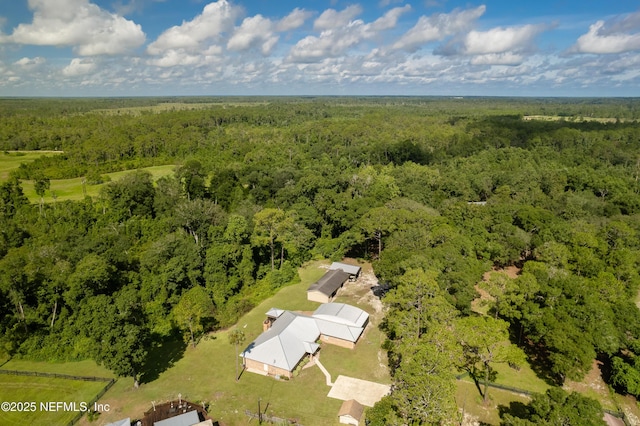 224 Crocus Ln, Hawthorne, FL 32640 - photo 58